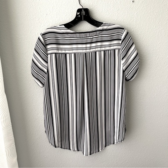 Lily White Bluose - Picture 4 of 5